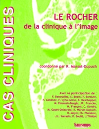 Le Rocher, De La Clinique A L'Image. 64eme Journee Du Cer St-Antoine