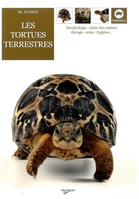 Marta Avanzi - Les tortues terrestres.
