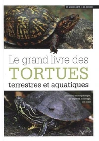 Les tortues terrestres