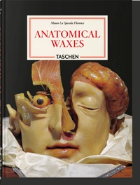 Anatomical Waxes