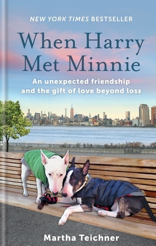 When Harry Met Minnie. An unexpected friendship and the gift of love beyond loss