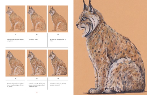 Animaux à sauver. 30 espèces à dessiner en pas-à-pas