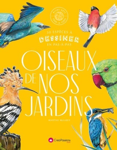 Les oiseaux de nos jardins. 30 espèces à dessiner en pas-à-pas