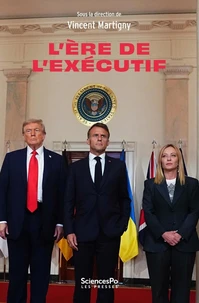 L'ère de l'éxécutif - L'exercice du pouvoir en France et dan