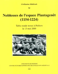 Noblesse de l'espace Plantagenêt (1154-1224)