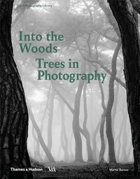 Into the woods: trees in photography