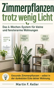 Zimmerpflanzen trotz wenig Licht