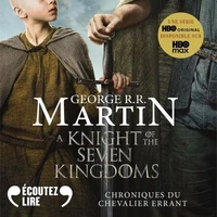 Chroniques du chevalier errant