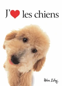 J'adore les chiens