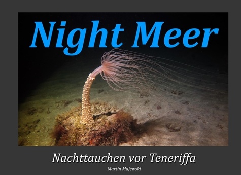 Night Meer. Nachttauchen vor Teneriffa