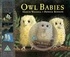 Martin Waddell - Owl Babies.