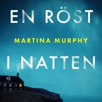 En röst i natten