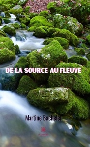 Martine Bachelet - De la source au fleuve.