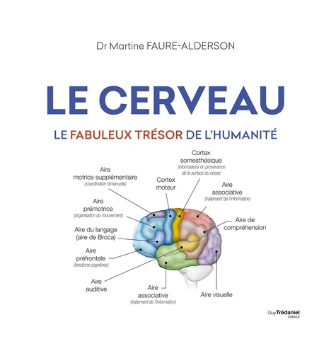 Martine Faure-Alderson - Le cerveau - Le fabuleux trésors de l'humanité.