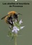 CALVENDO Nature  Les abeilles et bourdons de Provence (Calendrier mural 2020 DIN A3 vertical). Nos amis les abeilles et les bourdons solitaires et sauvages (Calendrier mensuel, 14 Pages )