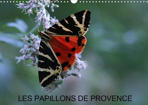 CALVENDO Nature  Les papillons de Provence (Calendrier mural 2020 DIN A3 horizontal). Les beaux papillons aux couleurs de la Provence. (Calendrier mensuel, 14 Pages )