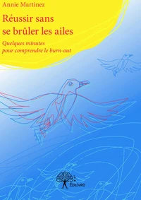 Réussir sans se brûler les ailes - quelques minutes pour comprendre le burn-out