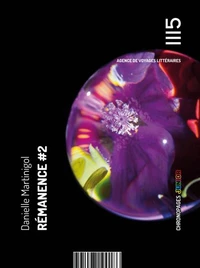 Rémanence Tome 2