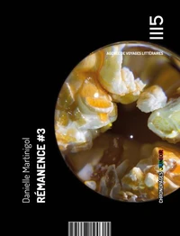 Rémanence Tome 3