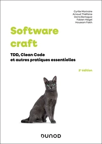 Software craft