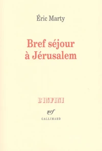 Bref Sejour A Jerusalem