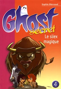 Le silex magique
