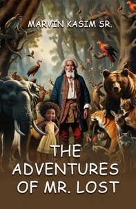 The Adventures Of Mr. Lost