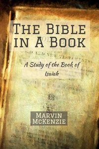The Bible in a Book