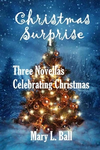 Christmas Surprise