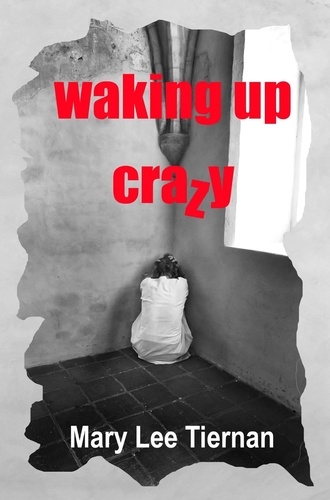  Mary Lee Tiernan - Waking Up Crazy - Dreams Untangled, #2.