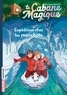 Mary Pope Osborne - La cabane magique, Tome 35 - Expédition chez les manchots.