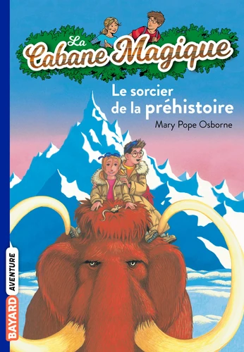 couverture de : Le sorcier de la pr&eacute;histoire
