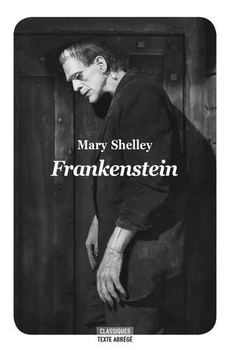 Frankenstein, moderne Prométhée  Texte abrégé