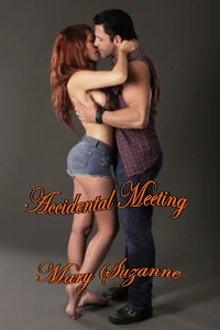 Accidental Meeting