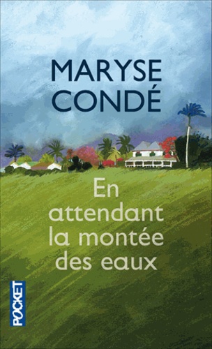 Maryse Condé - En attendant la montée des eaux.