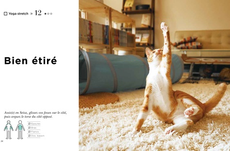 Le yoga du chat. 31 poses de yoga inspirées par les chats