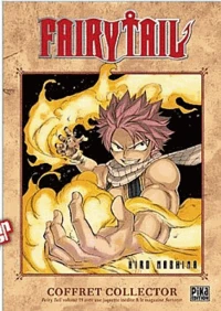 Fairy Tail Tome 19 . Coffret collector