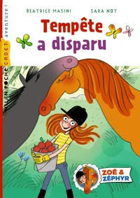 Tempête a disparu