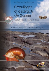 Coquillages et escargots de Guyane