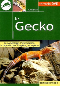 Massimo Millefanti - Le gecko.