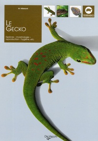 Massimo Millefanti - Le Gecko.