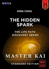 Ding Chou - The Hidden Spark