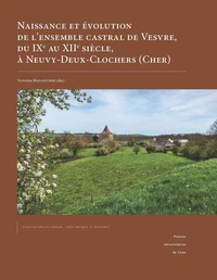 Naissance et évolution de l'ensemble castral de Vesvre, du IXe au XIIe siècle, à Neuvy-Deux-Clochers