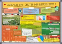 Céréales bio : chutes des rendements ?