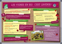 Les vignes en bio : c'est l'avenir !