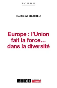 Europe : l'union fait la force… dans la diversité