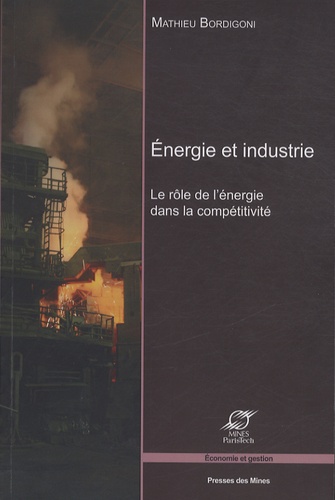 Mathieu Bordigoni - Energie et industrie - Le rôle de l'énergie dans la compétitivité.
