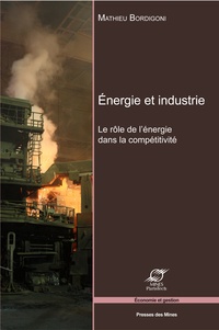 Mathieu Bordigoni - Energie et industrie - Le rôle de l'énergie dans la compétitivité.