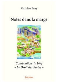 Mathieu Erny - Notes dans la marge - Compilation du blog « Le Droit des Brebis ».