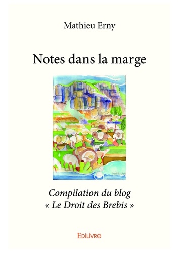 Notes dans la marge. Compilation du blog « Le Droit des Brebis »